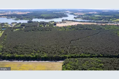 Taylors Island Rd, Woolford, MD 21677 - Photo 13