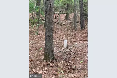 Taylors Island Rd, Woolford, MD 21677 - Photo 21