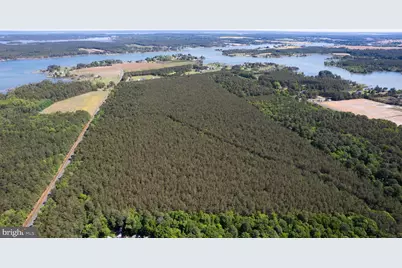 Taylors Island Rd, Woolford, MD 21677 - Photo 1