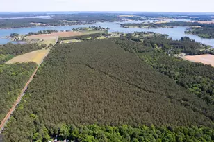Taylors Island Rd, Woolford, MD 21677 - Photo 1