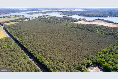 Taylors Island Rd, Woolford, MD 21677 - Photo 7