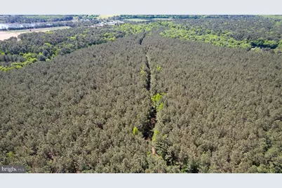 Taylors Island Rd, Woolford, MD 21677 - Photo 15