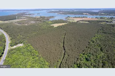 Taylors Island Rd, Woolford, MD 21677 - Photo 3