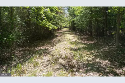Taylors Island Rd, Woolford, MD 21677 - Photo 17