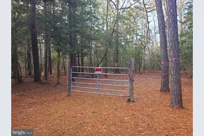 [Address not provided], Cambridge, MD 21613 - Photo 9