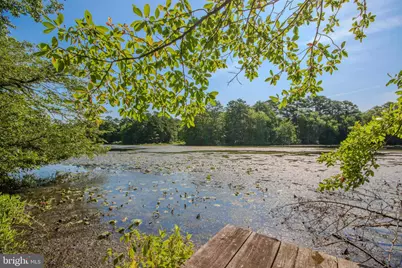 5715 Galestown Newhart Mill Road, Galestown, MD 21659 - Photo 49