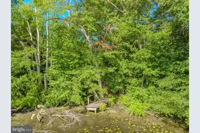 5715 Galestown Newhart Mill Road, Galestown, MD 21659 - Photo 51
