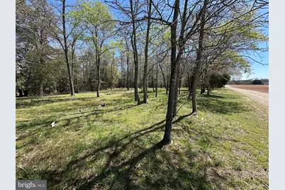 5113 River Road, Hurlock, MD 21643 - Photo 51