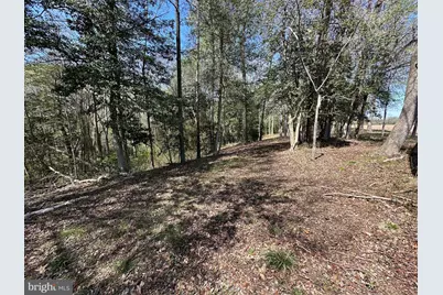 5113 River Road, Hurlock, MD 21643 - Photo 53