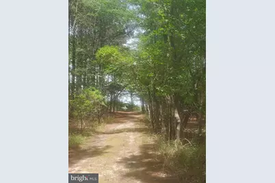 6046 Todds Point Road, Cambridge, MD 21613 - Photo 7