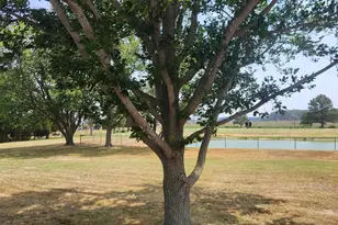 [Address not provided], Taylors Island, MD 21669 - Photo 19