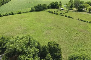 5125 Rhodesdale Rd, Rhodesdale, MD 21659 - Photo 9