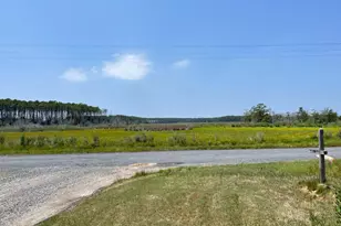 2439 Asquith Island Rd, Crapo, MD 21626 - Photo 5
