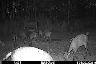 2243 Wingate Bishops Head Rd, Wingate, MD 21675 - Photo 69