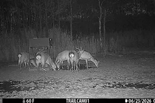 2243 Wingate Bishops Head Rd, Wingate, MD 21675 - Photo 57