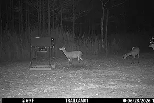2243 Wingate Bishops Head Rd, Wingate, MD 21675 - Photo 49