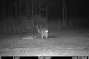 2243 Wingate Bishops Head Rd, Wingate, MD 21675 - Photo 67