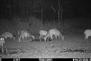 2243 Wingate Bishops Head Rd, Wingate, MD 21675 - Photo 55
