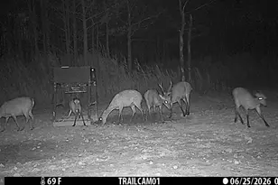 2243 Wingate Bishops Head Rd, Wingate, MD 21675 - Photo 53