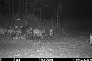 2243 Wingate Bishops Head Rd, Wingate, MD 21675 - Photo 43