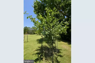 2243 Wingate Bishops Head Road, Wingate, MD 21675 - Photo 39