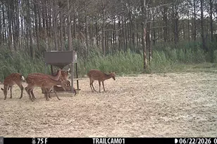 2243 Wingate Bishops Head Rd, Wingate, MD 21675 - Photo 61