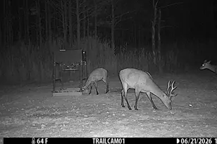 2243 Wingate Bishops Head Rd, Wingate, MD 21675 - Photo 63