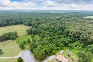 5602 Federal Hill, Federalsburg, MD 21632 - Photo 1