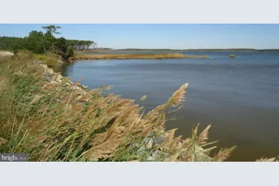 2209 Asquith Island, Crapo, MD 21626 - Photo 3