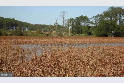 2209 Asquith Island, Crapo, MD 21626 - Photo 13