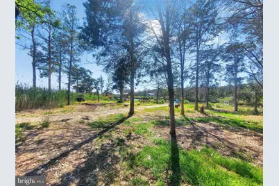 5214 David Greene Road, Cambridge, MD 21613 - Photo 67