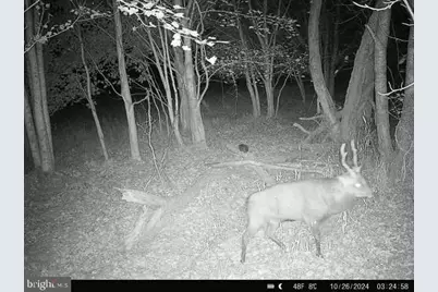 Beaver Neck Village Road, Cambridge, MD 21613 - Photo 49