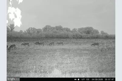 Beaver Neck Village Road, Cambridge, MD 21613 - Photo 51