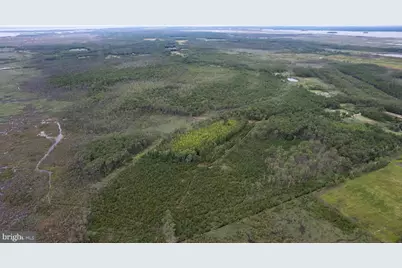 Andrews Road, Crapo, MD 21626 - Photo 15