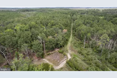 Andrews Road, Crapo, MD 21626 - Photo 19