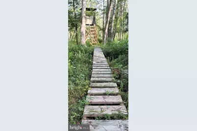 0 Galestown Road, Rhodesdale, MD 21659 - Photo 25