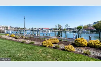 202 Muir Street, Cambridge, MD 21613 - Photo 49