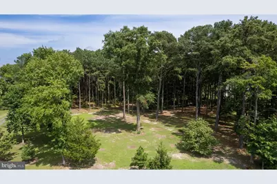 Horns Point Road, Cambridge, MD 21613 - Photo 3