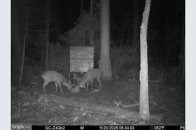 2716 Wesley Church Road, Crapo, MD 21626 - Photo 35