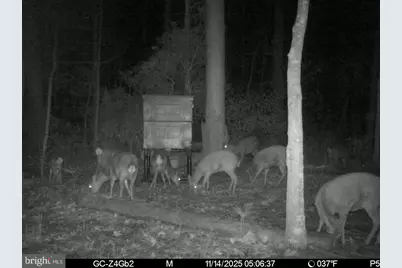 2716 Wesley Church Road, Crapo, MD 21626 - Photo 37