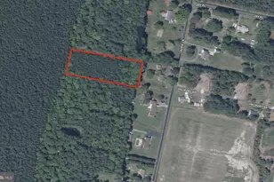 Laurie Ln, Woolford, MD 21677 - Photo 1