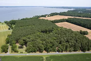 Horns Point Rd, Cambridge, MD 21613 - Photo 1