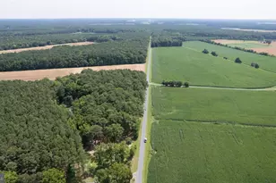 Horns Point Rd, Cambridge, MD 21613 - Photo 3