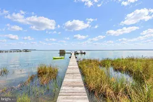 3118 Bay View Dr, Church Creek, MD 21622 - Photo 41