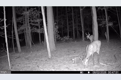 5500 Ross Neck Road, Cambridge, MD 21613 - Photo 23