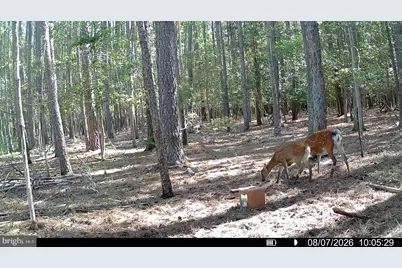 5500 Ross Neck Road, Cambridge, MD 21613 - Photo 29