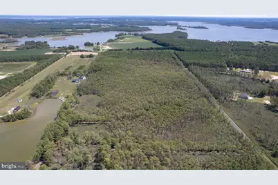 5500 Ross Neck Road, Cambridge, MD 21613 - Photo 13