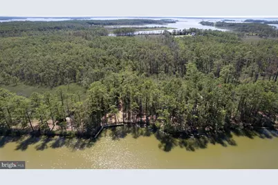 5500 Ross Neck Road, Cambridge, MD 21613 - Photo 15