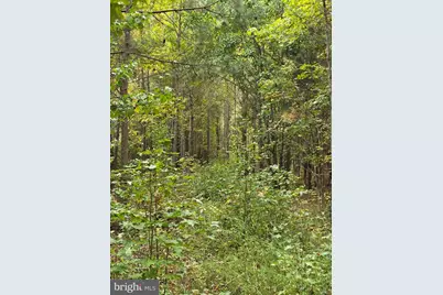 0 Aireys Road, Cambridge, MD 21613 - Photo 23