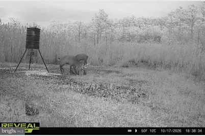 007 Griffith Neck Road, Cambridge, MD 21613 - Photo 35